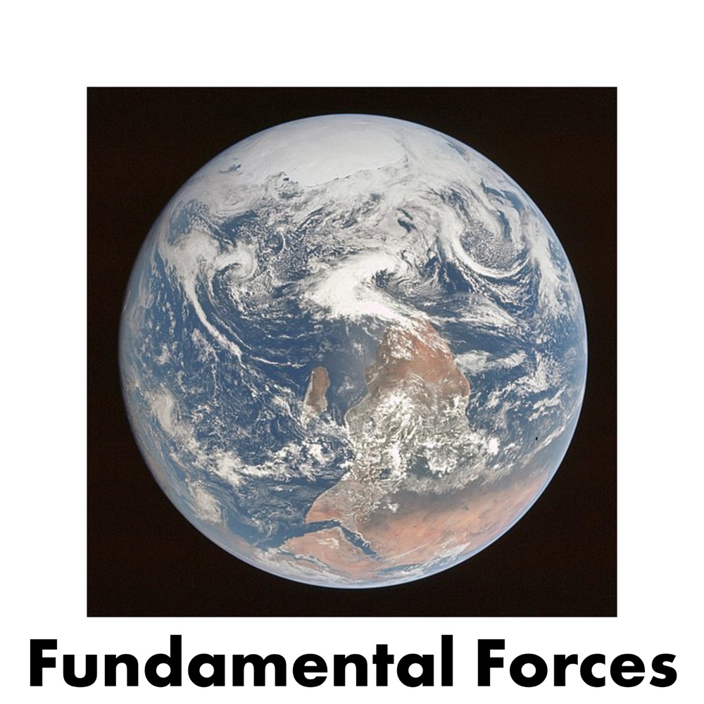 Fundamental Forces cover